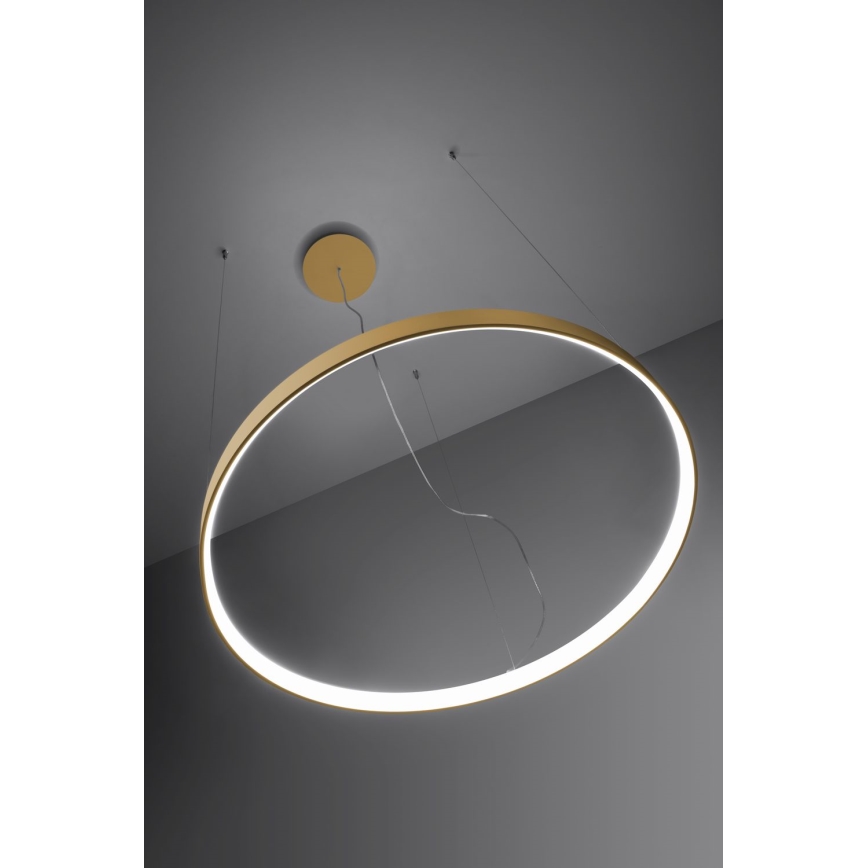 Thoro TH.181 - LED  Lustr na lanku RIO LED /50W/230V CRI 95 4000K pr. 78 cm zlatá